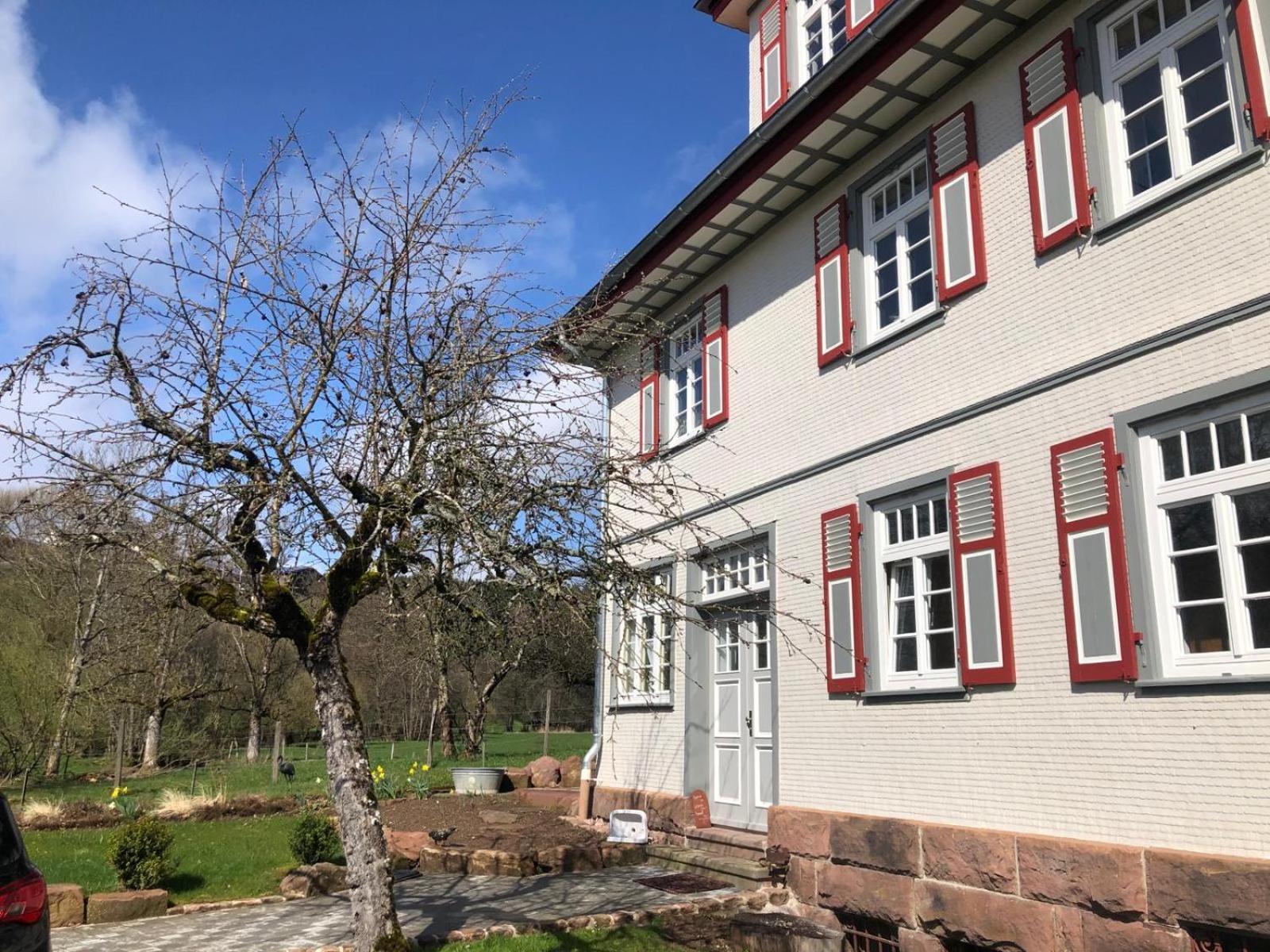 Ferienwohnung Am Stockerbach Freudenstadt Buitenkant foto